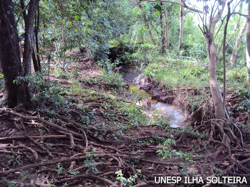 21_marco_2011 (18).JPG